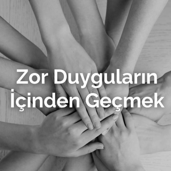 Zor Duyguların İçinden Geçmek- Esin Erek