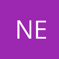 NALAN ERGİN